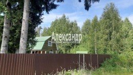 Лебяжье