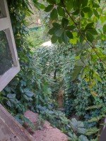 Раменское, Кратово, Голутвинская, 10