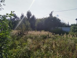 Островцы