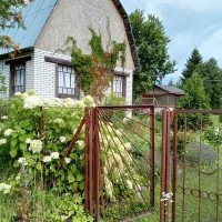 Ротково, Оазис, к.НТ