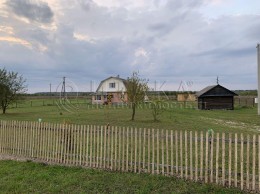 Холоповицы