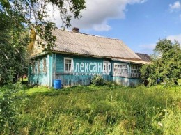 Пульница