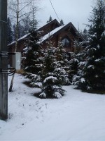 Дмитров, Сурмино