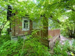 Дмитров, Кузяево