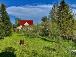 Сирень, к.нт
