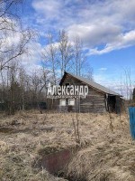 Любань