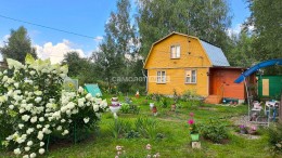 Павловский Посад, Евсеево, Агро, к.нт