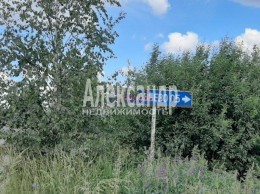 Соловьево, 5