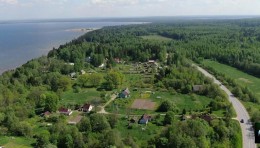 Вистино