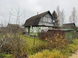 Массив Мшинская, ЛОС, 284