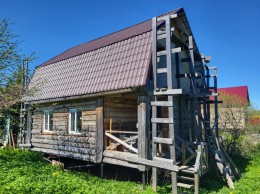Ветки, Зеленая, 40