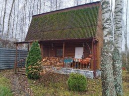 Павловский Посад, Васютино, Весна, к.нт