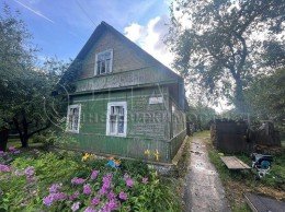 Волосово, Новая