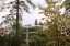 Продажа загородного дома Малаховка, Быковское, 81 к. 1