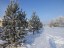 Продажа загородного дома Кривицы