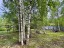 Продажа загородного дома Грузино, Куйвози-2, к.НТ
