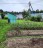 Продажа загородного дома Массив Моторное, Сосновый