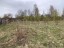 Продажа загородного дома Шамокша, Сельская