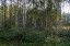 Продажа загородного дома Коммунар