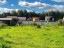 Продажа загородного дома Дятлицы, 146