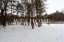 Продажа загородного дома Одинцово, 243