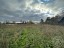 Продажа загородного дома Заполье (Серебрянское с/п), 6