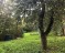 Продажа загородного дома поселок Станции Крёкшино, улица Шоссейная