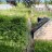 Продажа загородного дома Пески, 13-я линия