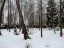 Продажа загородного дома Кубинка