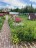 Продажа загородного дома Рыбацкое, 39