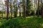 Продажа загородного дома Кубинка