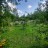 Продажа загородного дома Красная (Горелово)