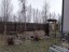Продажа загородного дома Сойкино