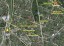 Продажа загородного дома Тайцы, Кирова, 9/2