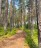 Продажа загородного дома ФОРТ-ИНО, к.нт
