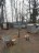 Продажа загородного дома Электросталь, Весна, к.нт