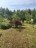 Продажа загородного дома Массив Дивенская, Невмаш, к.НТ