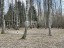 Продажа загородного дома Подольск, Сынково, Сынково, 43