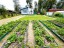 Продажа загородного дома Грибное, Колпинец, Новая