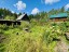 Продажа загородного дома Массив Мшинская, Лесное-17, 18