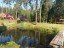 Продажа загородного дома Большой Двор (Большедворское с/п), 53