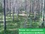 Продажа загородного дома Рощино