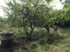 Продажа загородного дома Красноармейское, Проселочная, 103