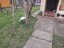 Продажа загородного дома Арбонье, к.НТ