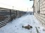Продажа загородного дома Сертолово, 32