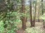 Продажа загородного дома Долгопрудный, Шереметьевский, Магистральная, 27