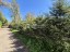 Продажа загородного дома Озерки, 19