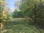 Продажа загородного дома Репьи, Центральная