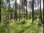 Продажа загородного дома Золотые пески ДНП