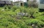 Продажа загородного дома Восход, Восход-4, Тружеников, 13